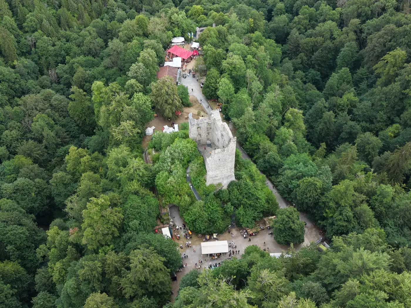 Luftaufnahme einer Burgruine auf einem bewaldeten Hügel